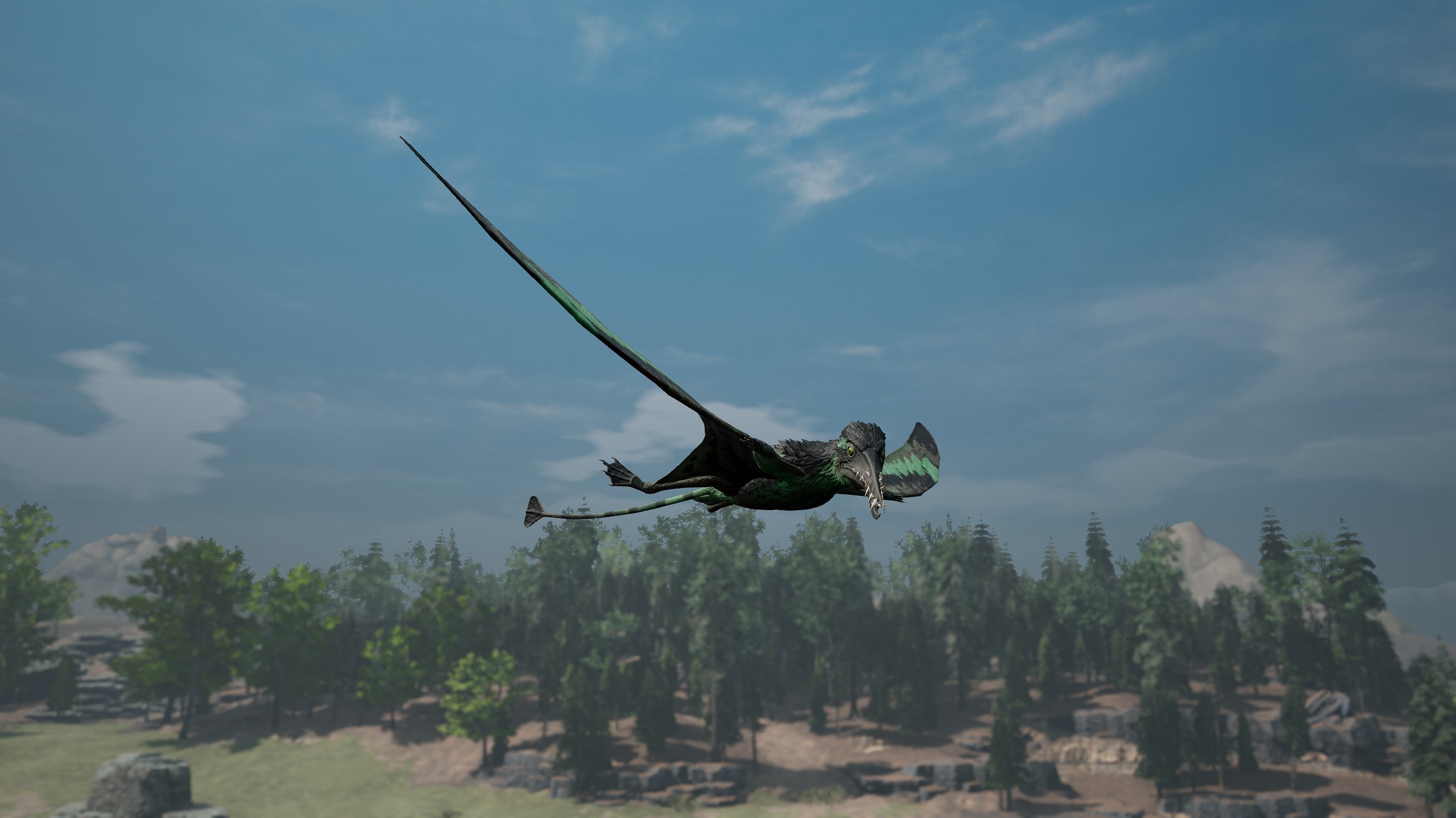 Rhamphorhynchus Image